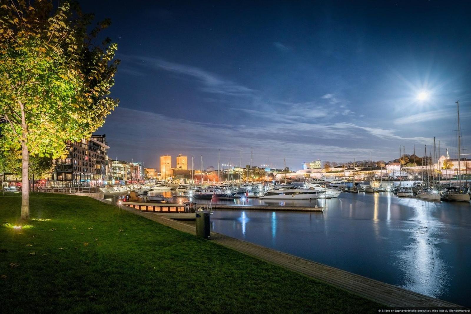 Unique Oslo/vika Leilighet Oslo